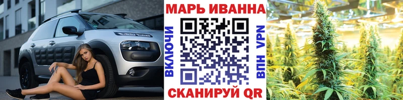 Конопля Кущёвская