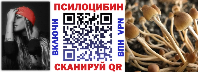 Галлюциногенные грибы ЛСД  Купить где  Кущёвская 
